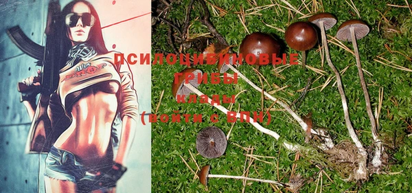 прущая мука Фёдоровский