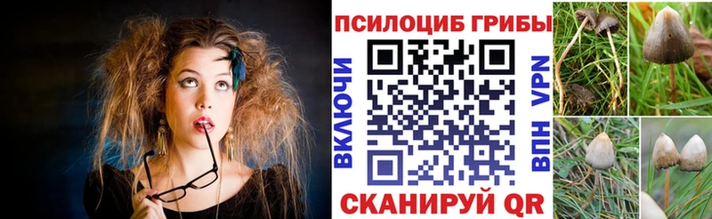 Купить где  Северобайкальск  Псилоцибиновые грибы мухоморы 